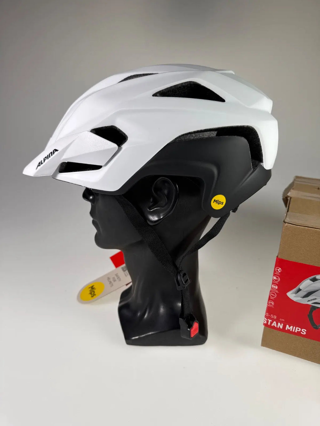 ALPINA Stan MIPS Fahrradhelm