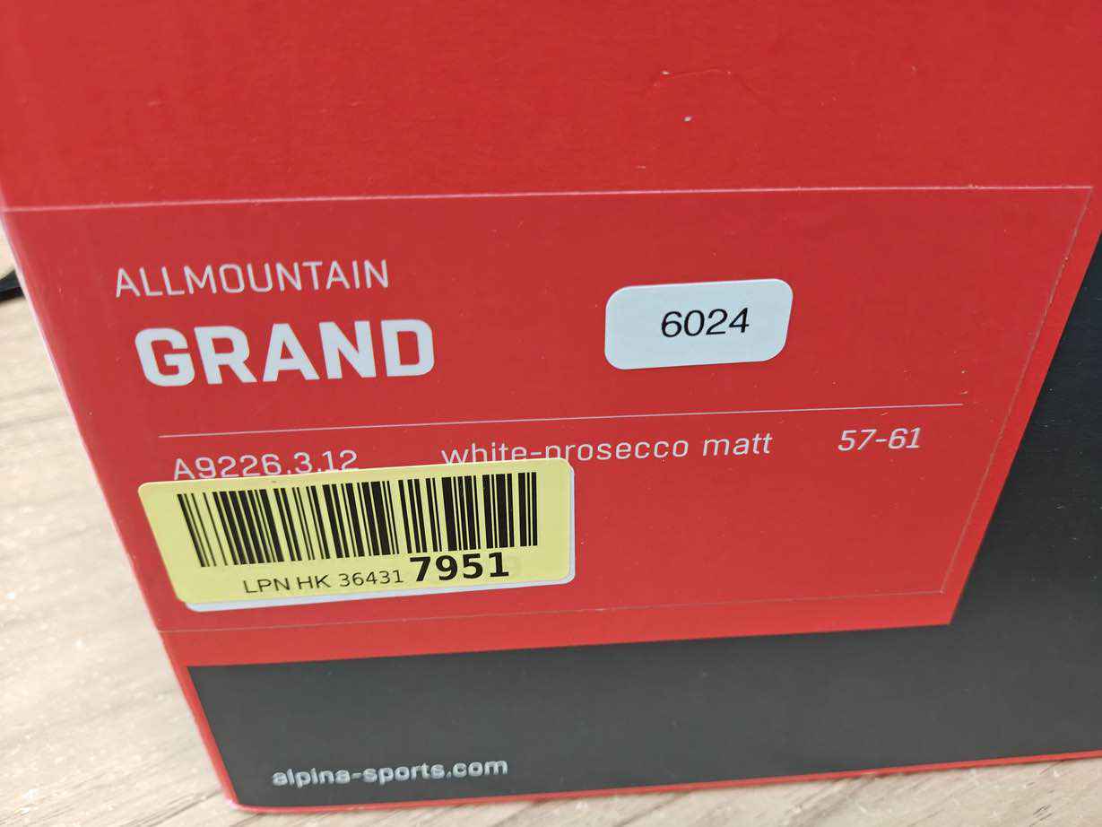 ALPINA GRAND Skihelm - Größe 57-61 cm #6024